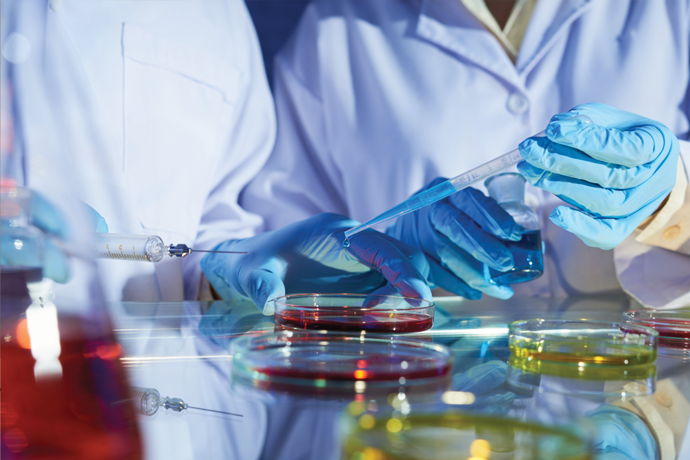 R & D PYE Products 1